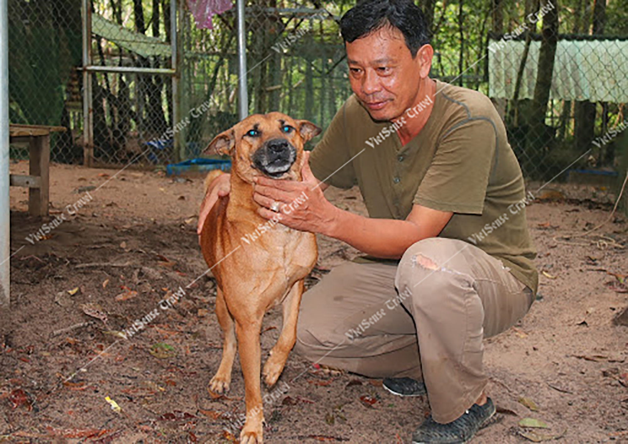 Cập nhật mới nhất bảng giá vé tham quan tại Phú Quốc - Ảnh 5 Cập nhật mới nhất bảng giá vé tham quan tại Phú Quốc - Ảnh 5