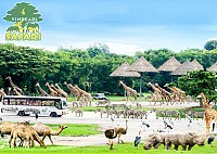 Du lịch Phú Quốc - vườn thú vinpearl Safari 4 ngày
