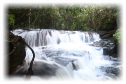 Suối Tranh Suối Tranh