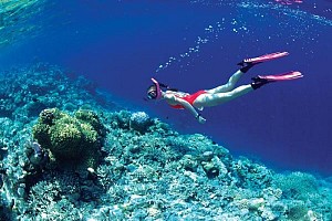 Đến Phú Quốc câu cá lặn biển ngắm san hô Đến Phú Quốc câu cá lặn biển ngắm san hô