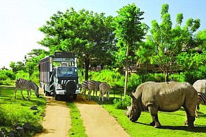 Một Ngày Sống Vội Nơi Đảo Ngọc Phú Quốc Một Ngày Sống Vội Nơi Đảo Ngọc Phú Quốc