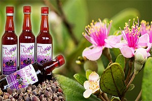 Những Đặc Sản Trên Đảo Phú Quốc ( P1 ) Những Đặc Sản Trên Đảo Phú Quốc ( P1 )