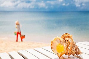 Những Thông Tin Đặc Biệt Cần Biết Khi Bạn Đi Du Lịch Phú Quốc Những Thông Tin Đặc Biệt Cần Biết Khi Bạn Đi Du Lịch Phú Quốc