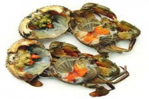 Tiết Canh Cua Phú Quốc Tiết Canh Cua Phú Quốc