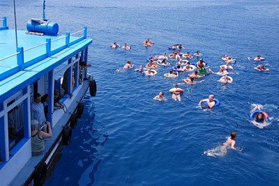 Câu cá lặn biển ngắm san hô 3 Ngày tại Phú Quốc Câu cá lặn biển ngắm san hô 3 Ngày tại Phú Quốc