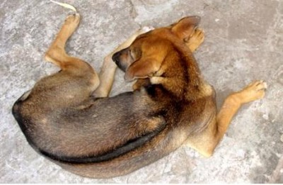 Du Lịch Phú Quốc- Nuôi Cho Xoáy Phú Quốc Du Lịch Phú Quốc- Nuôi Cho Xoáy Phú Quốc