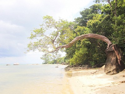 Làng Chài Rạch Tràm Phú Quốc Làng Chài Rạch Tràm Phú Quốc