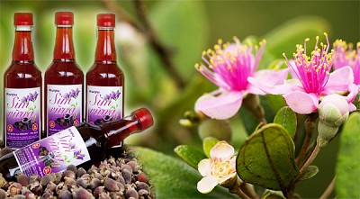 Những Đặc Sản Trên Đảo Phú Quốc ( P1 ) Những Đặc Sản Trên Đảo Phú Quốc ( P1 )