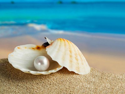 Những Địa Điểm Du Lịch Phú Quốc Hấp Dẫn(P5) Những Địa Điểm Du Lịch Phú Quốc Hấp Dẫn(P5)