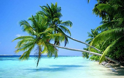Những điểm du lịch lý tưởng ở đảo ngọc Phú Quốc Những điểm du lịch lý tưởng ở đảo ngọc Phú Quốc