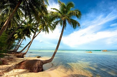 Phú Quốc Hưởng Ứng Tuần Lễ Môi Trường Du Lịch Xanh Phú Quốc Hưởng Ứng Tuần Lễ Môi Trường Du Lịch Xanh