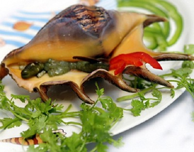 Sò, Ốc đặc sản Phú Quốc Sò, Ốc đặc sản Phú Quốc