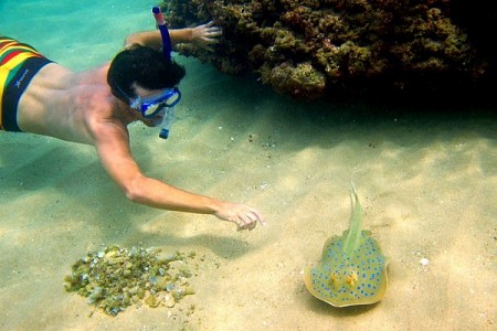 chương trình Bắc Đảo - Câu Cá Lặn Biển Ngắm San Hô chương trình Bắc Đảo - Câu Cá Lặn Biển Ngắm San Hô