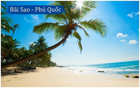 chương trình SÀI GÒN - PHÚ QUỐC HÈ 2025