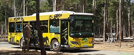 Tham Gia Những Trải Nghiệm Tuyệt Vời Khi Bạn Tới Phú Quốc Tham Gia Những Trải Nghiệm Tuyệt Vời Khi Bạn Tới Phú Quốc