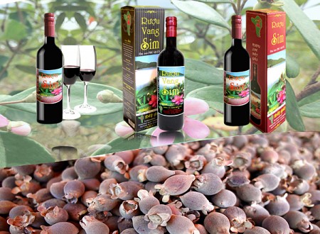 Hành Trình Tham Quan Đông Đảo 1 Ngày Hành Trình Tham Quan Đông Đảo 1 Ngày