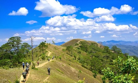 Hình ảnh tuyệt đẹp của con đường xuyên rừng đẹp nhất Việt Nam