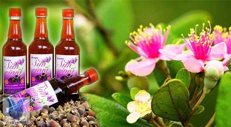 Mật Sim Phú Quốc - Rượu Sim Mật Sim Phú Quốc - Rượu Sim