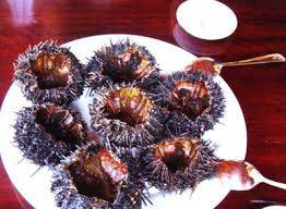 Nhum Phú Quốc Nhum Phú Quốc