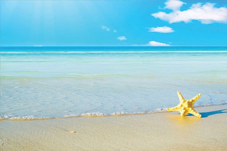 Siêu khuyến mại Tháng 8 chương trình trọn gói Phú Quốc 3D2N bao gồm cả vé máy bay