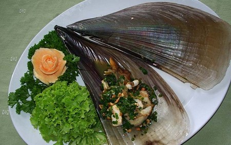 Sò Mai - Đặc Sản Phú Quốc