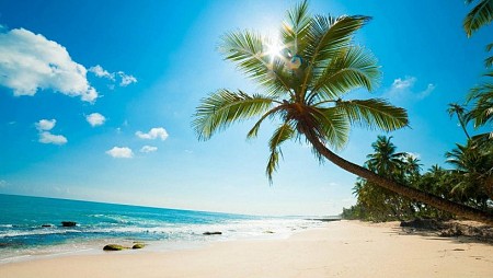 Tổng hợp lịch trình khởi hành các chương trình biển phú quốc dịp lễ mùng 2 tháng 9