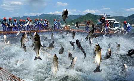 chương trình Bắc Đảo - Câu Cá Lặn Biển Ngắm San Hô