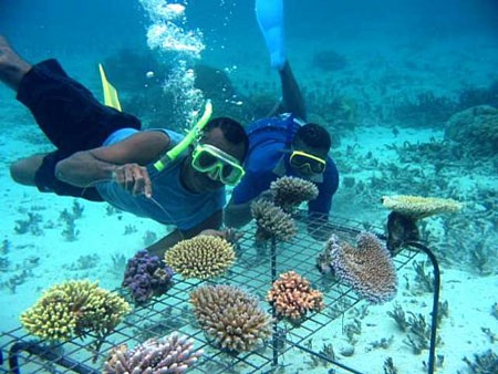 Chương trình Hà Nội - Phú Quốc Hè 2025