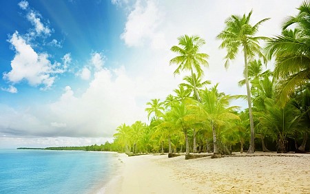 Chương trình Hà Nội - Phú Quốc Hè 2025