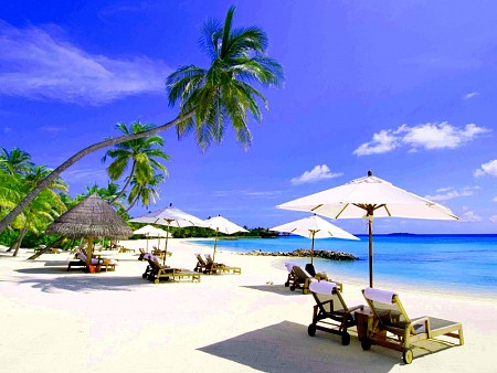 Chương trình Hồ Chí Minh Phú Quốc 3 Ngày Dịp Lễ 2-9