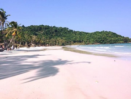 Hành trình Tết Nguyên Đán 2025