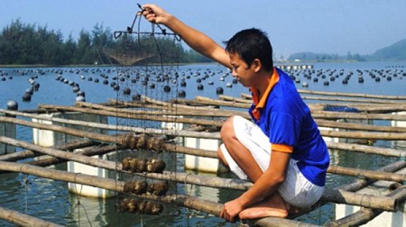 Chương trình Phú Quốc Dịp Lễ 2-9 Hà Nội - Phú Quốc 3 Ngày