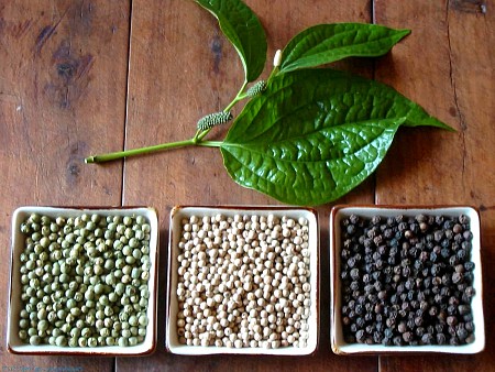 Chương trình Phú Quốc dịp lễ 30 tháng 4