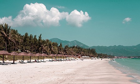 Vườn Tiêu Khu Tượng - Mũi Gành Dầu - Sông Cửa Cạn - Vườn Thú Safari - Vinpearl Land | 4 Ngày 3 Đêm Vườn Tiêu Khu Tượng - Mũi Gành Dầu - Sông Cửa Cạn - Vườn Thú Safari - Vinpearl Land | 4 Ngày 3 Đêm