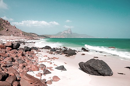 Vườn Tiêu Khu Tượng - Mũi Gành Dầu - Sông Cửa Cạn - Vườn Thú Safari - Vinpearl Land | 4 Ngày 3 Đêm