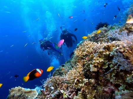 Khởi hành từ Sài Gòn Tháng 11 Bao Vé Máy Bay