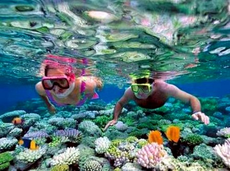 Chương trình Vinpearl Land Phú Quốc 3 Ngày 2 Đêm Từ Tp.HCM