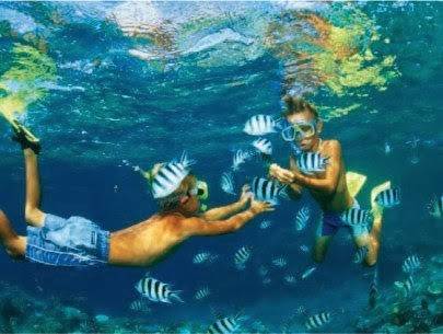 Chương trình Vinpearl Land Phú Quốc 3 Ngày 2 Đêm Từ Tp.HCM