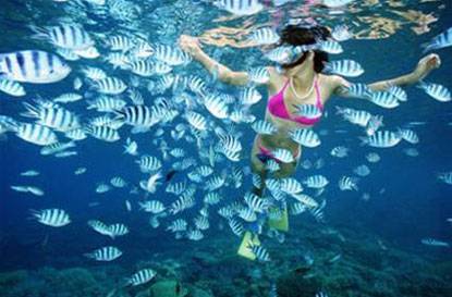 Chương trình Phú Quốc Vinpearl Land 3 Ngày 2 Đêm Từ Hà Nội