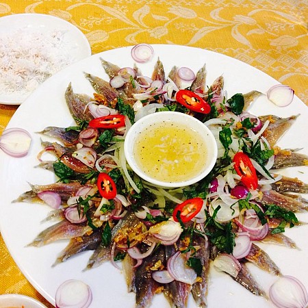 chương trình Nam Đảo Câu Cá Lặn Ngắm San Hô