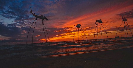 chương trình SÀI GÒN - PHÚ QUỐC HÈ 2025