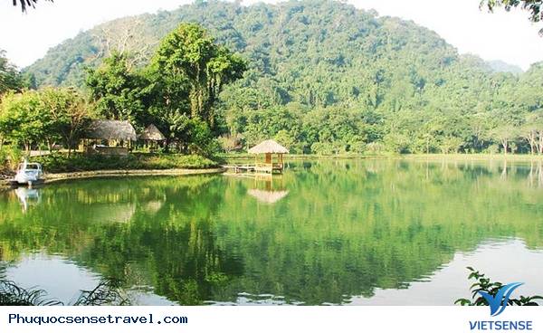 Vườn quốc gia Phú Quốc tuyệt đẹp Vườn quốc gia Phú Quốc tuyệt đẹp