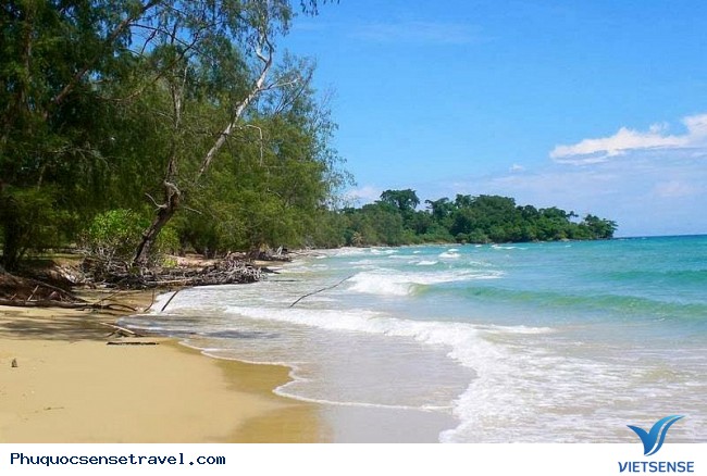 Bỏ túi những Kinh Nghiệm Khám Phá Phú Quốc tự túc - Ảnh 4