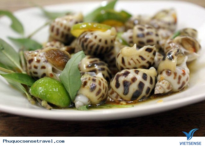 Ốc hương Phú Quốc Ốc hương Phú Quốc