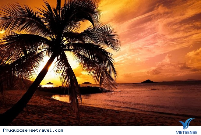 Khám Phá Những Điều Thú Vị Khi Tới Phú Quốc Hè này - Ảnh 2 Khám Phá Những Điều Thú Vị Khi Tới Phú Quốc Hè này - Ảnh 2