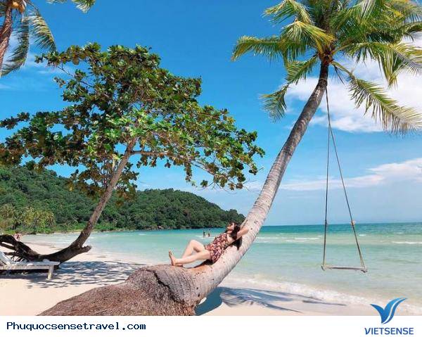 Chuyện Về Cây Dừa Đổ Và Chiếc Xích Đu Đặc Biệt Ở Phú Quốc - Ảnh 4 Chuyện Về Cây Dừa Đổ Và Chiếc Xích Đu Đặc Biệt Ở Phú Quốc - Ảnh 4