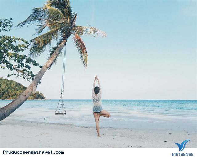 Chuyện Về Cây Dừa Đổ Và Chiếc Xích Đu Đặc Biệt Ở Phú Quốc - Ảnh 1 Chuyện Về Cây Dừa Đổ Và Chiếc Xích Đu Đặc Biệt Ở Phú Quốc - Ảnh 1