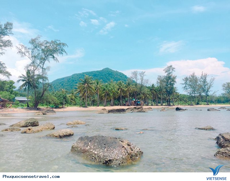 Có Một Cơn Sốt hành trình Mang Tên Nam Phú Quốc - Ảnh 1