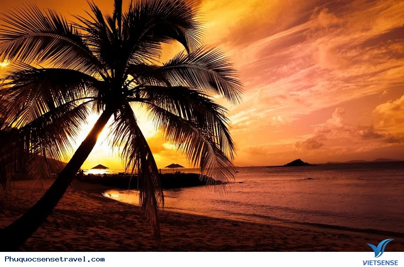 Hàng Loạt Những Trải Nghiệm Tuyệt Vời Khi Bạn Tới Phú Quốc - Ảnh 2