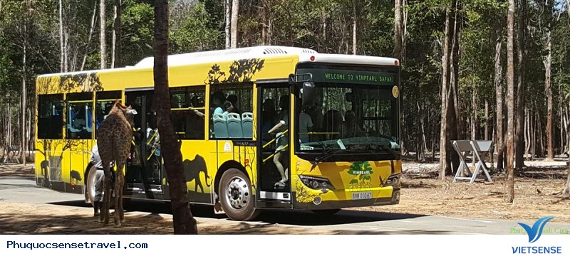 Hàng Loạt Những Trải Nghiệm Tuyệt Vời Khi Bạn Tới Phú Quốc - Ảnh 3